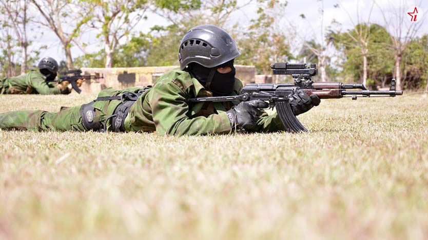 defensa