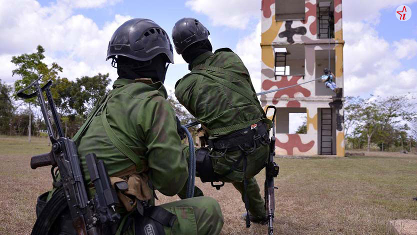 defensa 