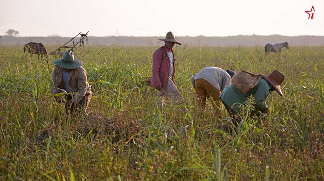trabajadores