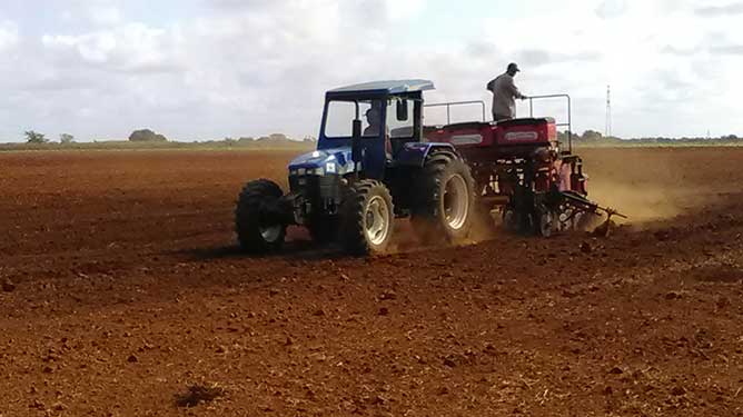  preparacion tierra