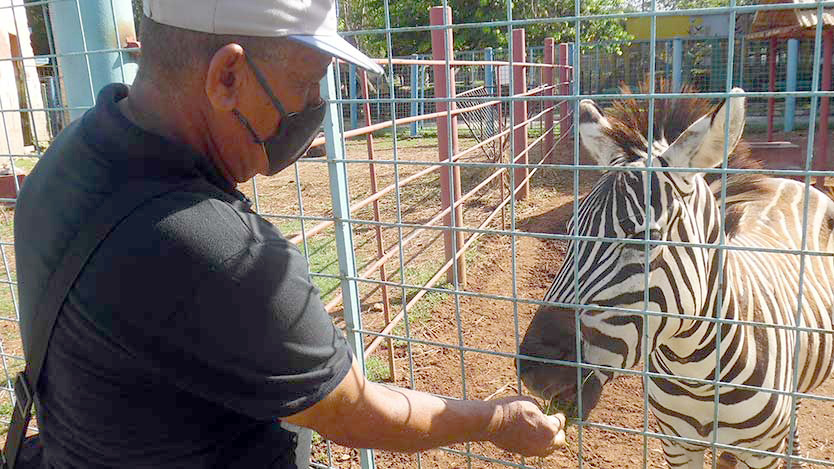  zoo