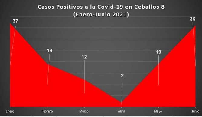 grafico