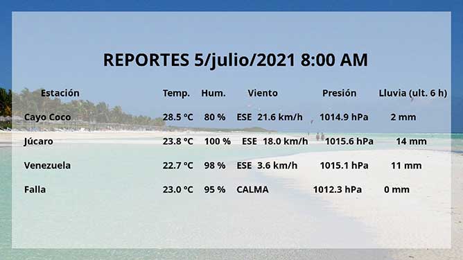 reportes elsa