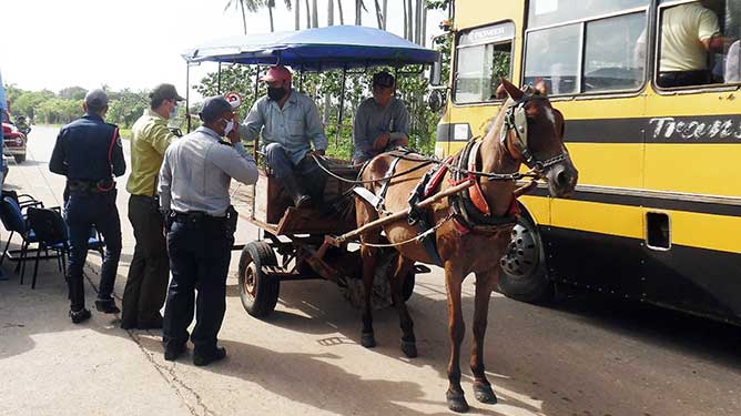  transporte
