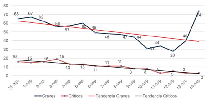  grafico