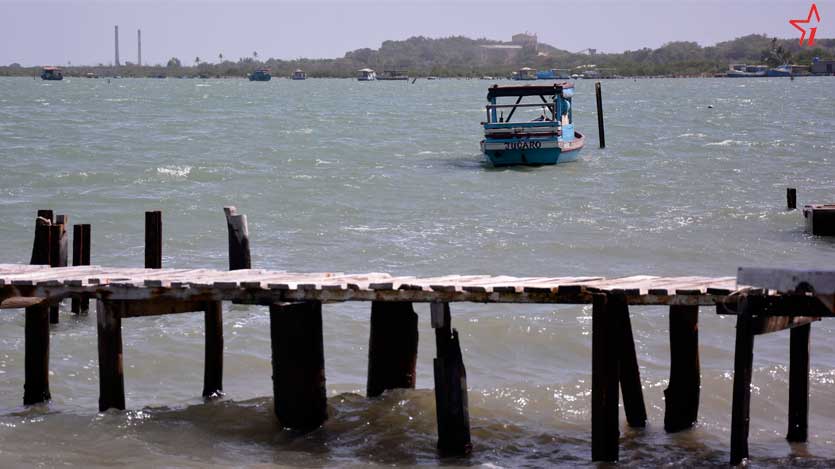 Punta Alegre