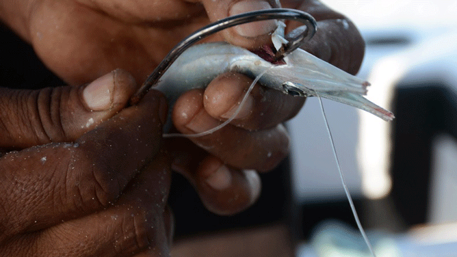 Torneo de pesca