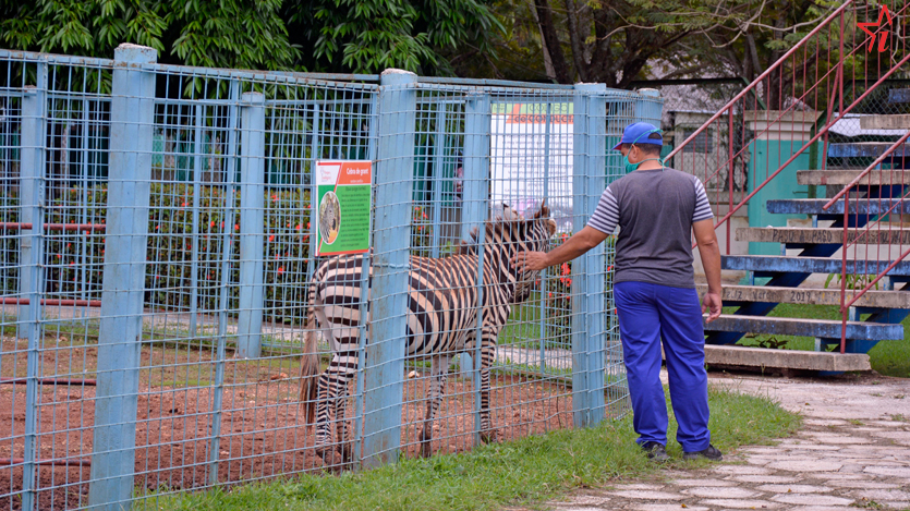 Zoológico