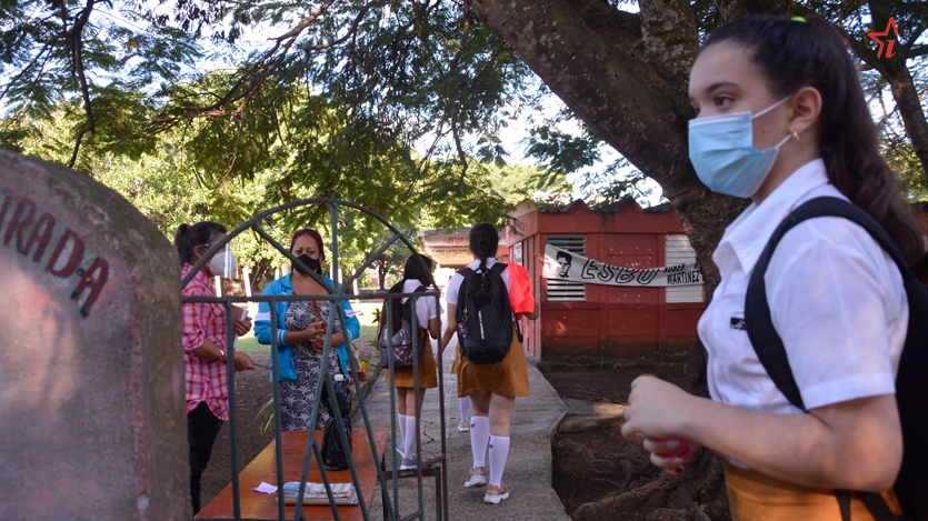 Curso escolar