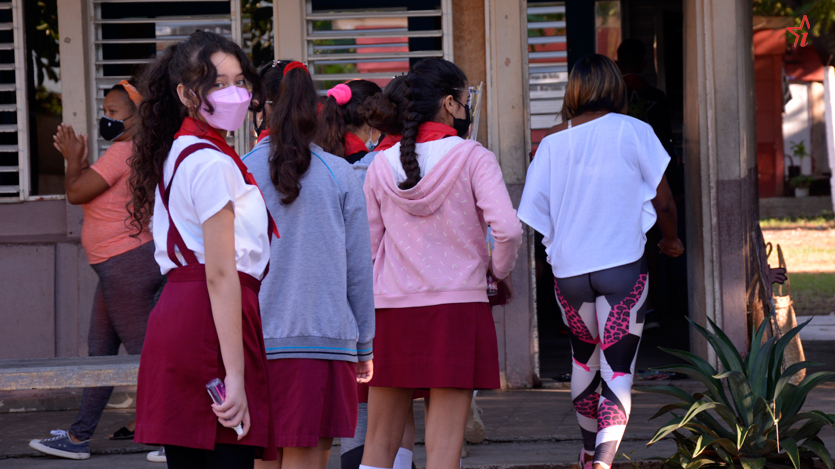 Curso escolar