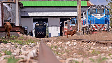 Locomotoras