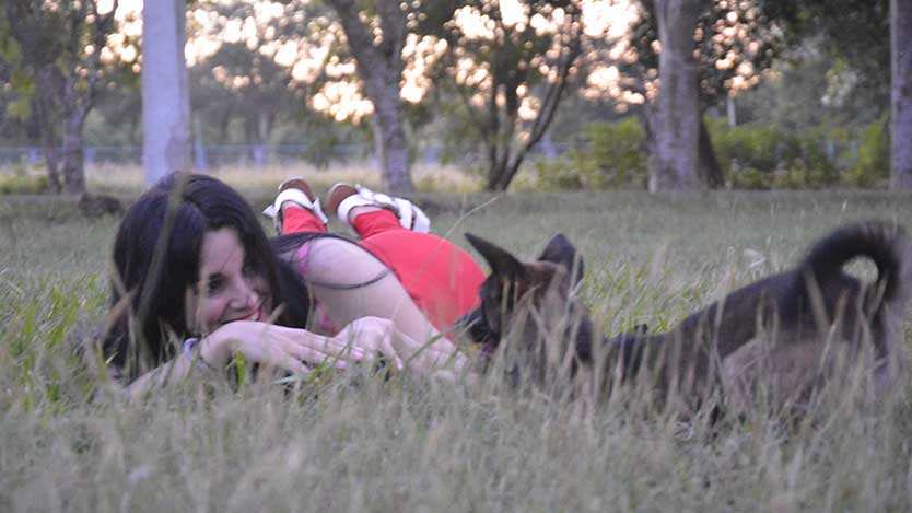  amor
