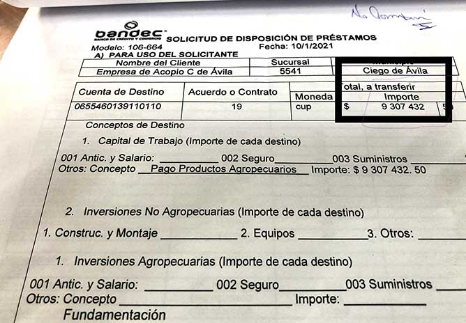  documento bandec