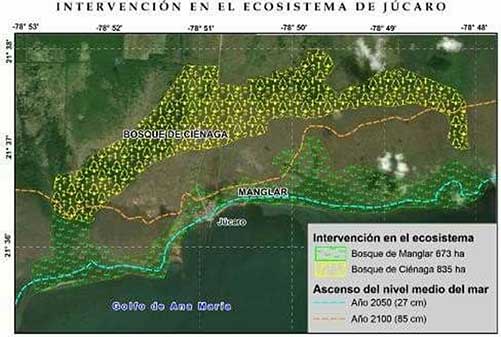 proyecto internacional