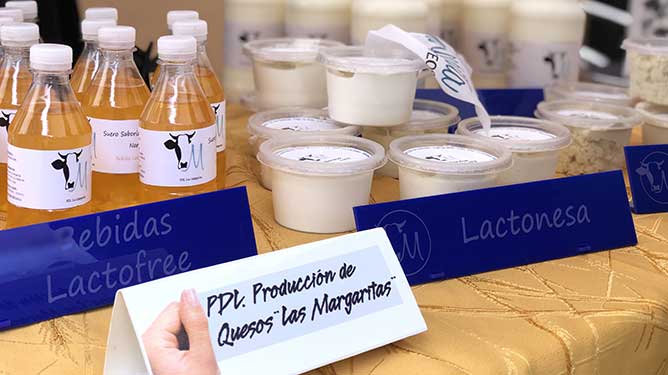  quesos