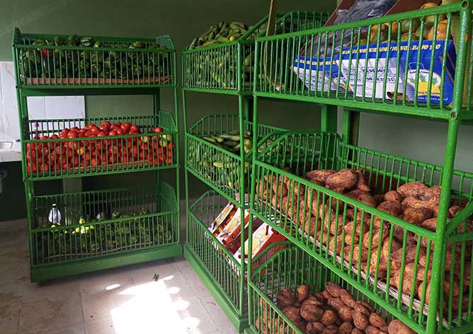  frutavila