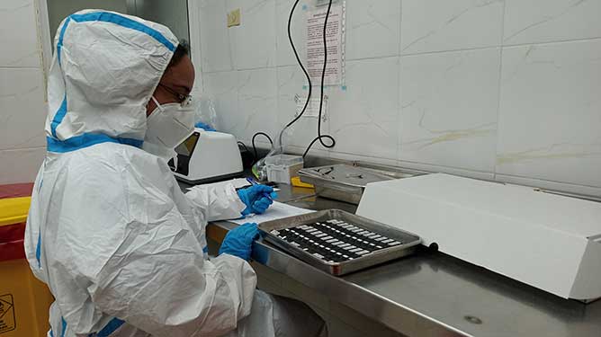 laboratorio