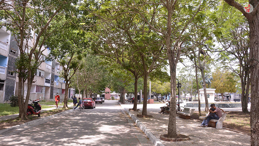 arboles