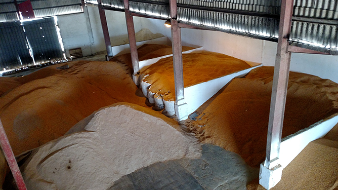  materia prima