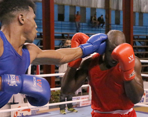 boxeo