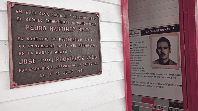  museo