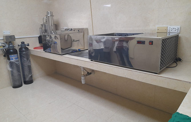 meseta en neonatología