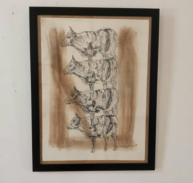 vaca