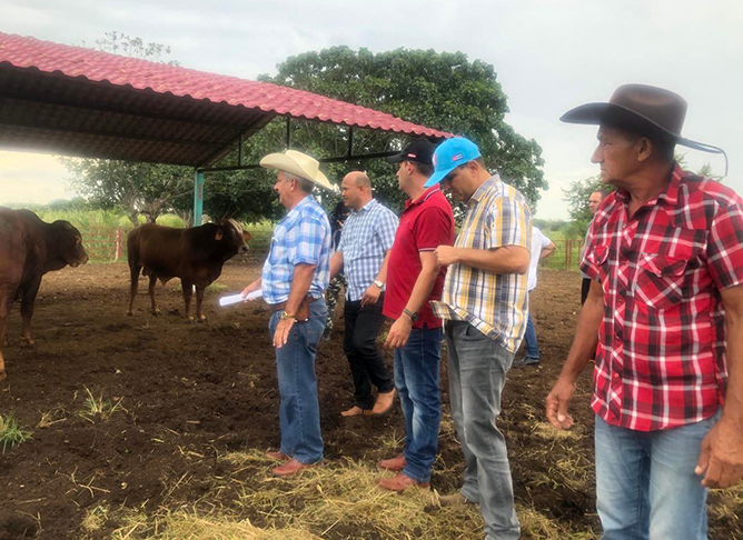 Turiguanó 2
