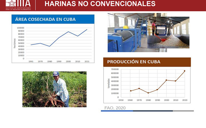 grafico