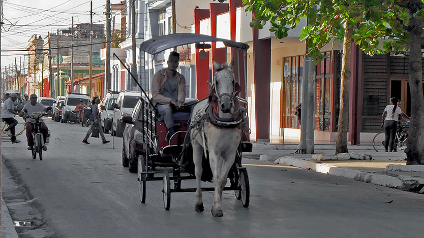 transporte