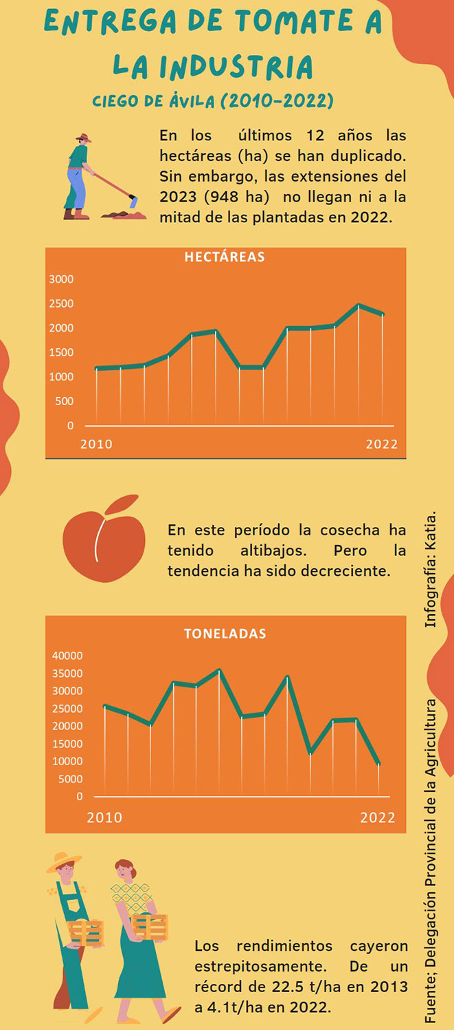  infografia tomate