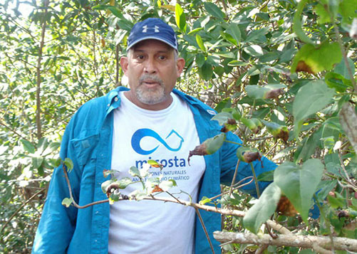  jose manuel