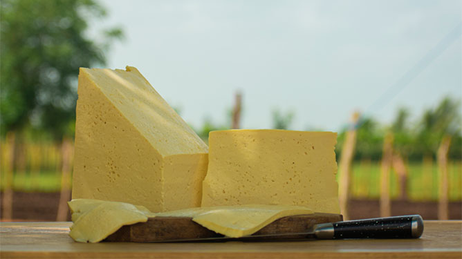  queso