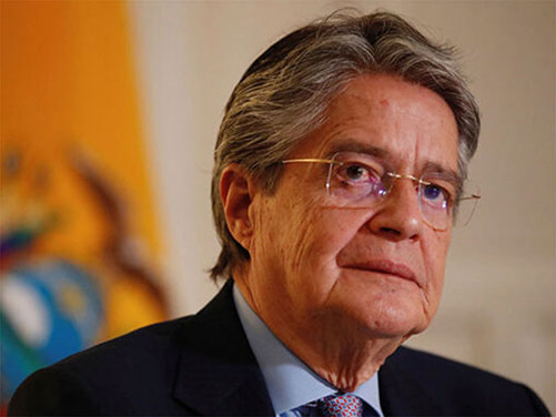  guillermo