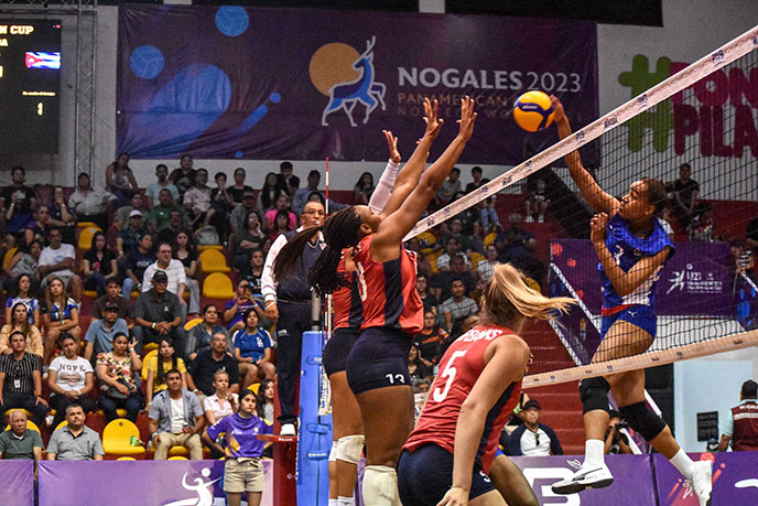  voleibol