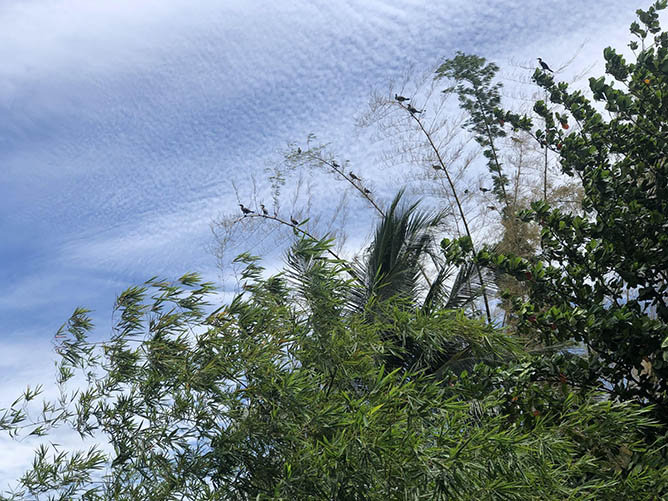  agua