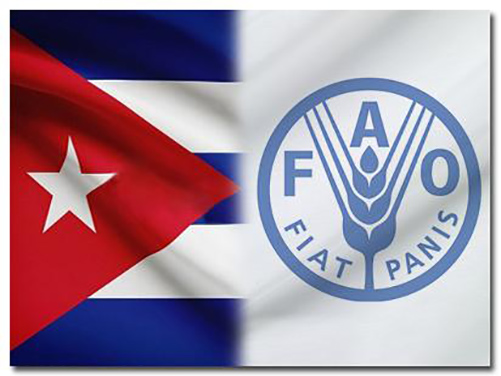FAO Cuba