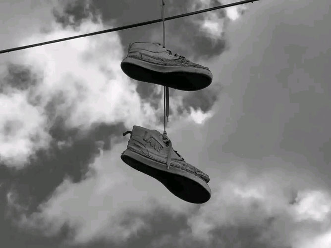 tenis