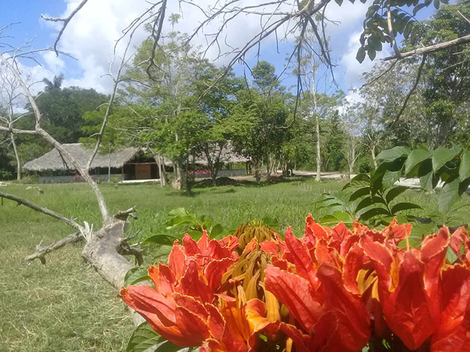  humedal parque