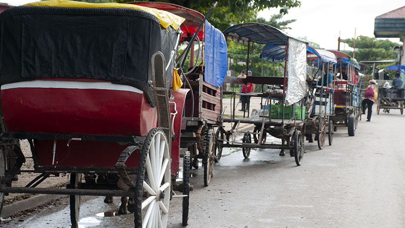 coches 