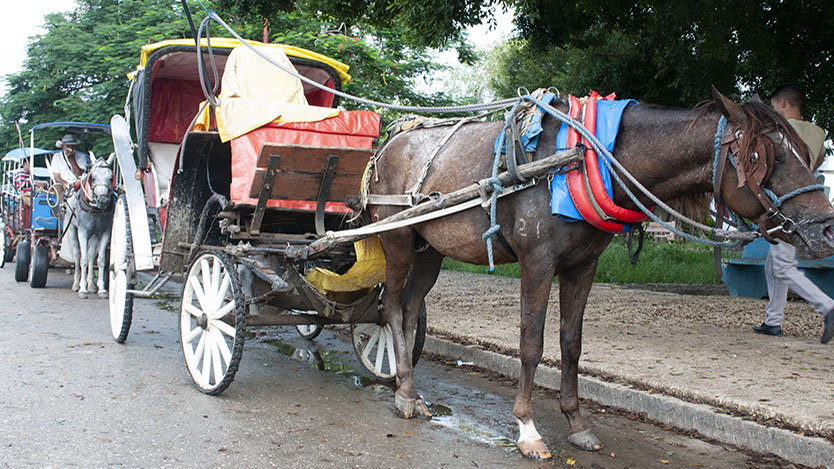coches