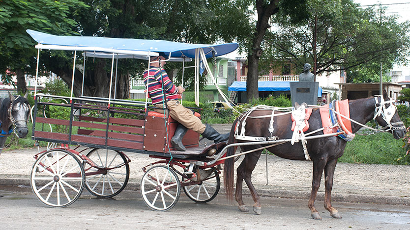  coches