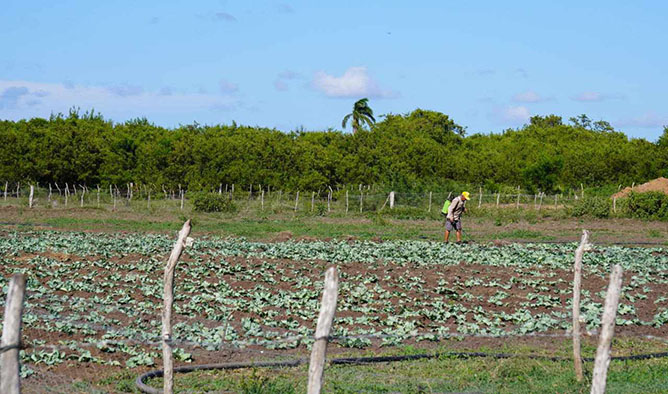  finca