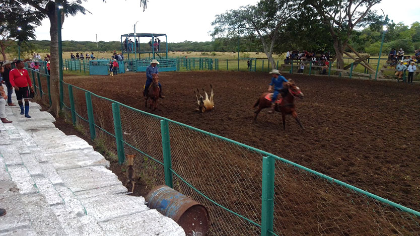  rodeo