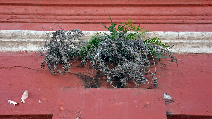 colgantes 02