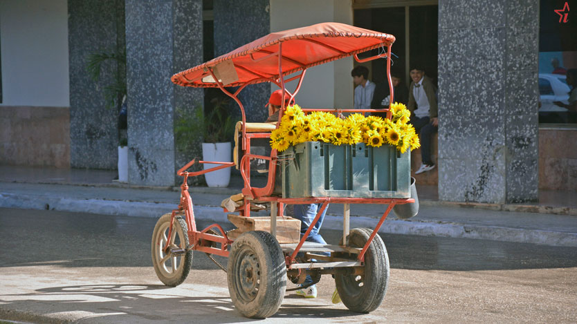 bicicleta 03