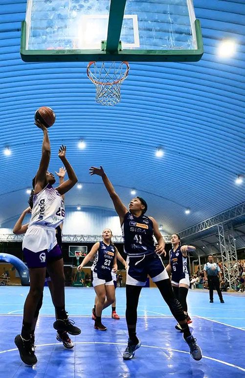  basquet