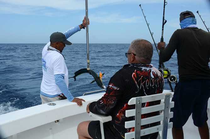 pesca