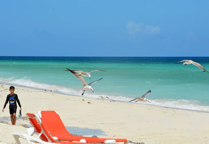  playa