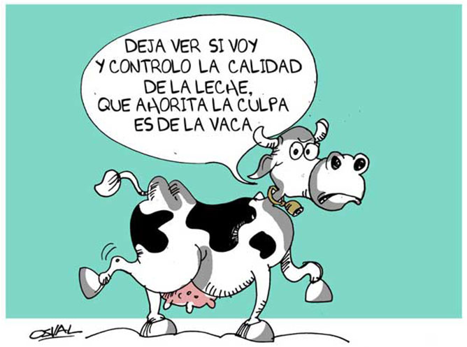 vaca